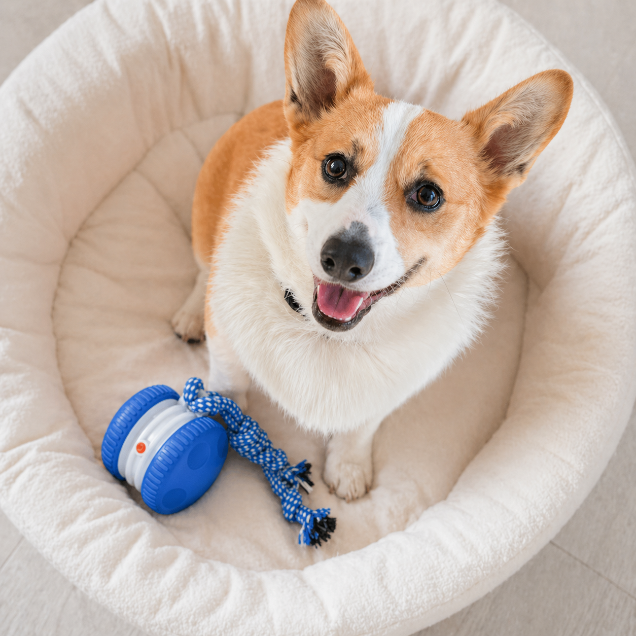 Interactive Dog Toy Ball – Automatic Moving Smart Ball for Dogs