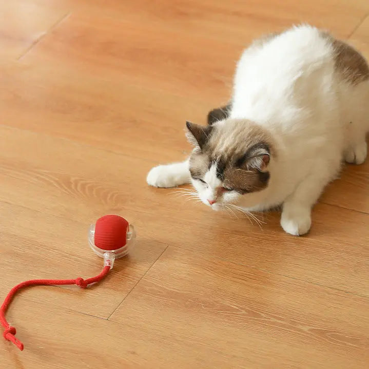 Rolling Fun Ball – Smart Interactive Pet Toy for Dogs & Cats