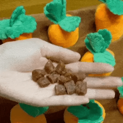 Carrot Garden Interactive Treat-Hiding Toy for Dogs